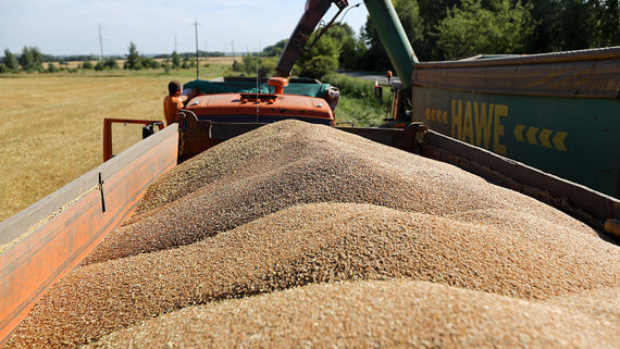 Russia May Suspend Grain Export Duties Before Year’s End Amid Black Sea Shipping Challenges